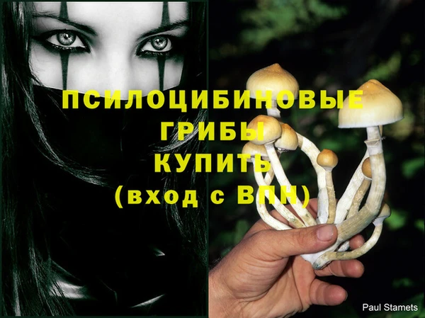 кокаин VHQ Белокуриха