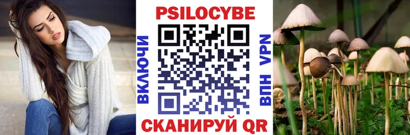 закладки  Всеволожск  Галлюциногенные грибы мухоморы 